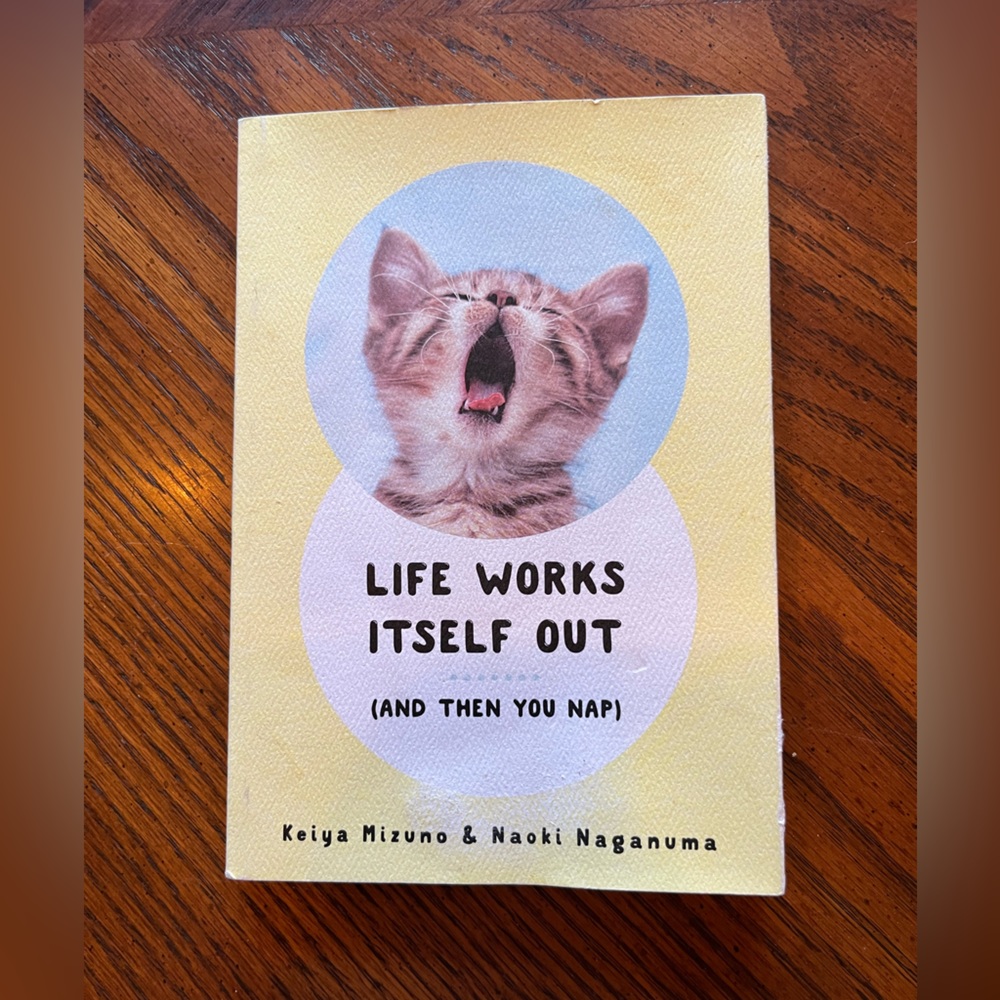 Cat Book | Life Works Itself Out (And Then You Nap) bestselling cat book